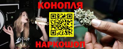 spice Обнинск