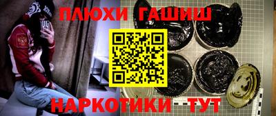 индика Новодвинск
