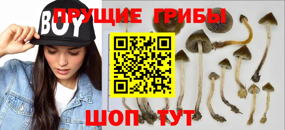Галлюциногенные грибы Psilocybe  Вход с VPN  Псилоцибиновые грибы Magic Shrooms  Чистополь 
